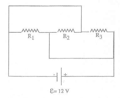 Court circuit?