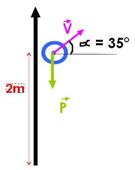 Etude d\'un lancer de poids  (loi de Newton)