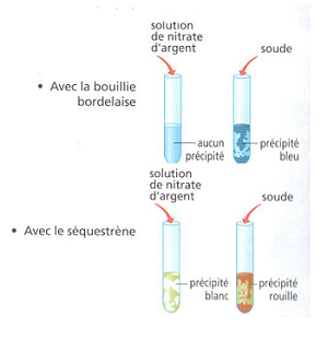 Quels sont les ions dans la solution ?