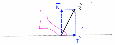 Loi de Newton, forces