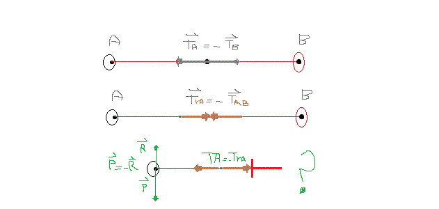 3 loi de Newton tir  la corde.