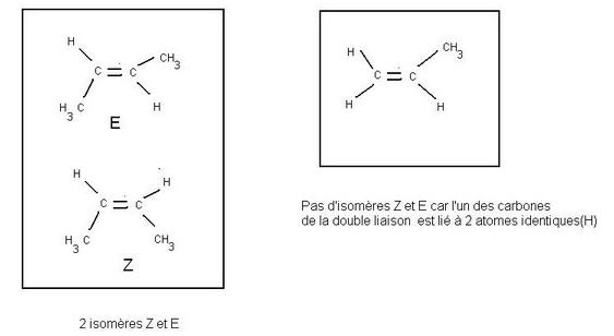 Alcnes