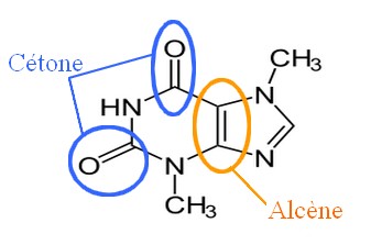 Etude structurelle
