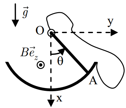Oscillation d\'une tige mtallique dans un champ magntique