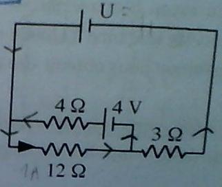 Electricit, tudes vterinaire