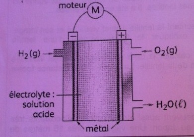 Exo-Physique-Chimie.
