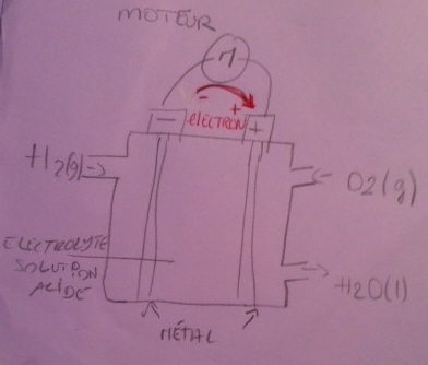 Exo-Physique-Chimie.