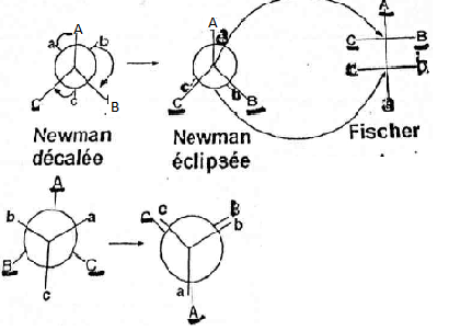 Newman fisher 
