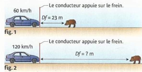 Construire un raisonnement.