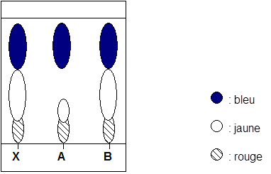 La chromatographie pour mener l\'enqute!