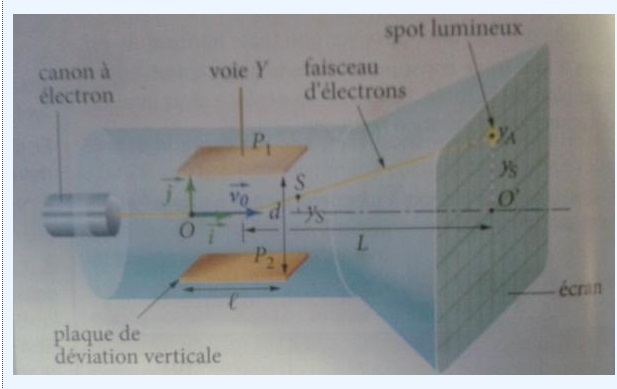 le schma : 