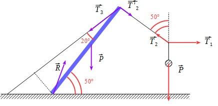forces et statique