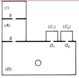 l\'expression de vitesse