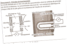 noncer la sonde lambda