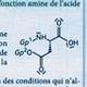 Aspartame: synthse