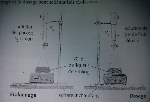 Dosage du glucose dans un jus de fruit