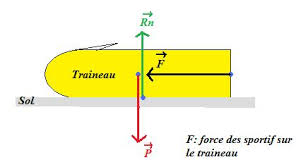 Force bobsleigh 