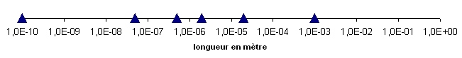 le chromosome