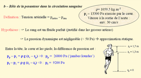 pression artrielle