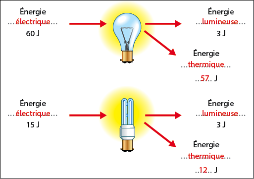 Faire la lumire sur les ampoules