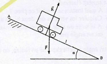 exercice physique 
