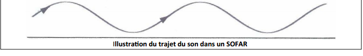 type bac , 