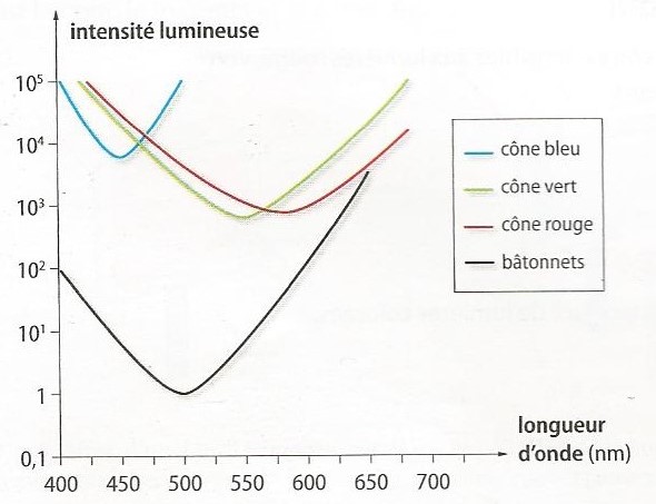 La perception des couleurs