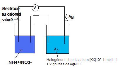 Piles/Oxydorductions