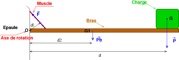 Question sur le bras de levier