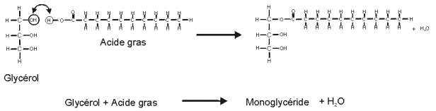Molcule huile