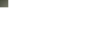 Forces et vecteurs