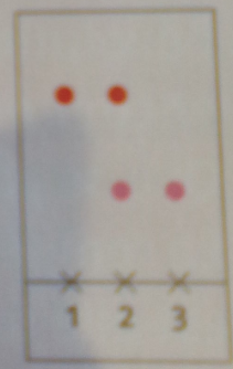 Chromatographie grenadine