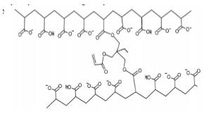 Polymres superabsorbant