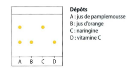 Devoir Chromatographie