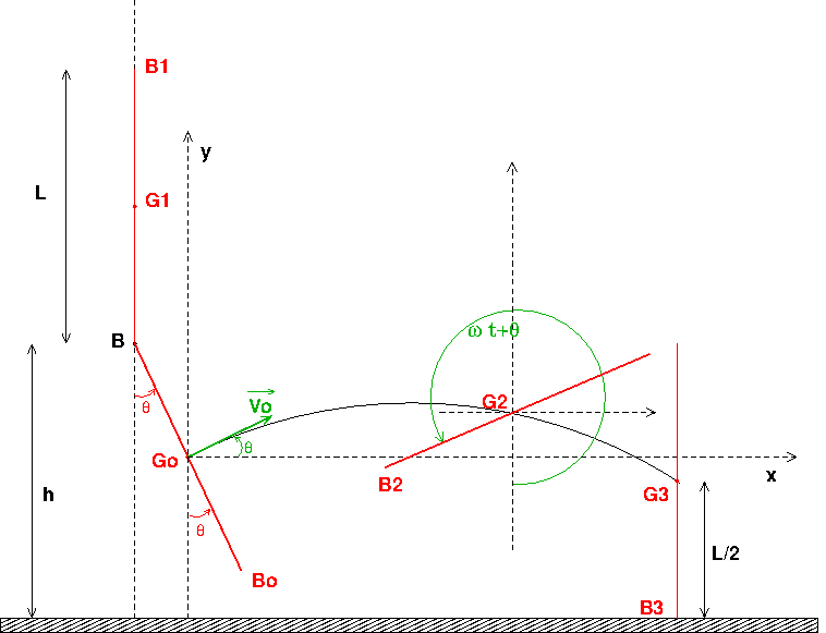 Etude mca d\'un salto arrire