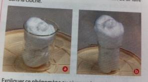 Mousse  raser 