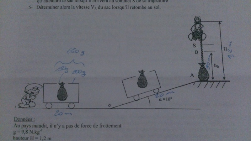  la rcolte des Schtroupfs - Exercice Physique 1s