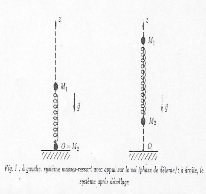 Oscillateur harmonique : systme masses-ressort