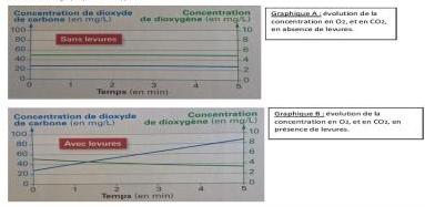 Exercice : Le mtabolisme cellulaire