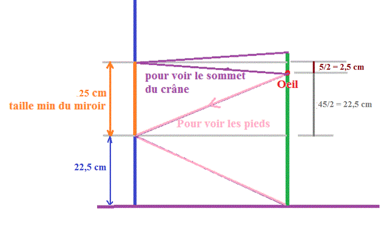 L\'homme et le chien (optique)