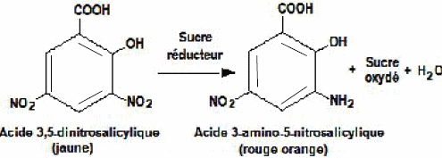 Dosages