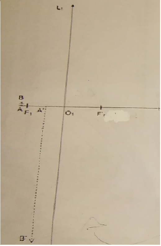 La vritable taille d\'une bactrie par le biais d\'un micros
