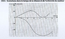 saut a elastique