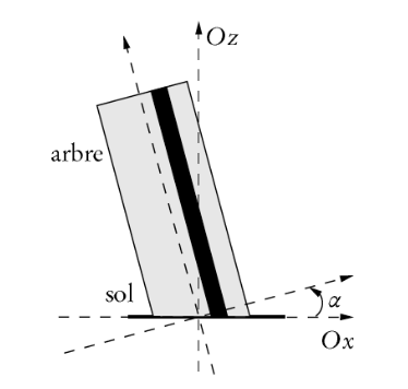 Chute d\'un arbre et solide dformable