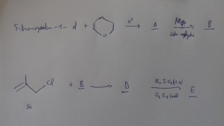 Organomagnesien 