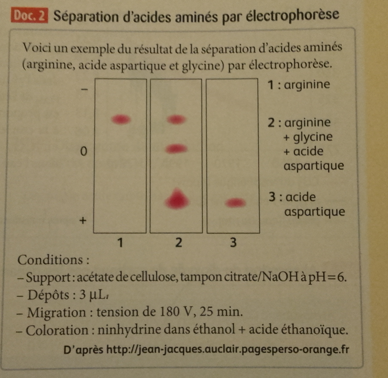 Dm TLS - Electrophorse