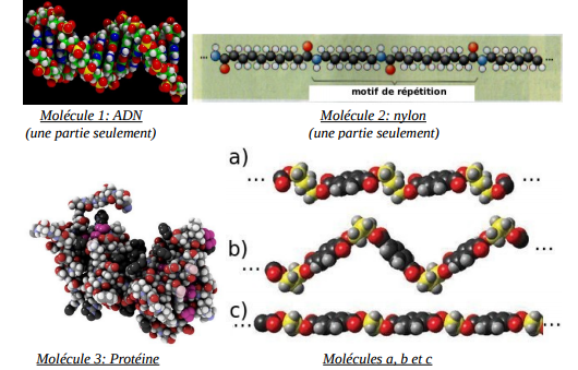  Comparaison de molcules