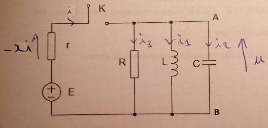 Court circuit 