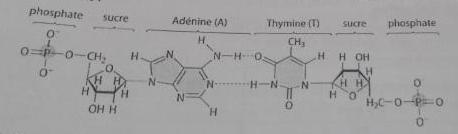 exo de physique chimie sur les liaison ionique