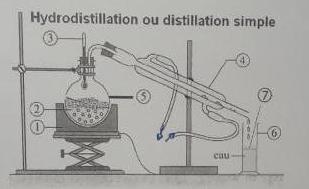 Extraction de la cafine 